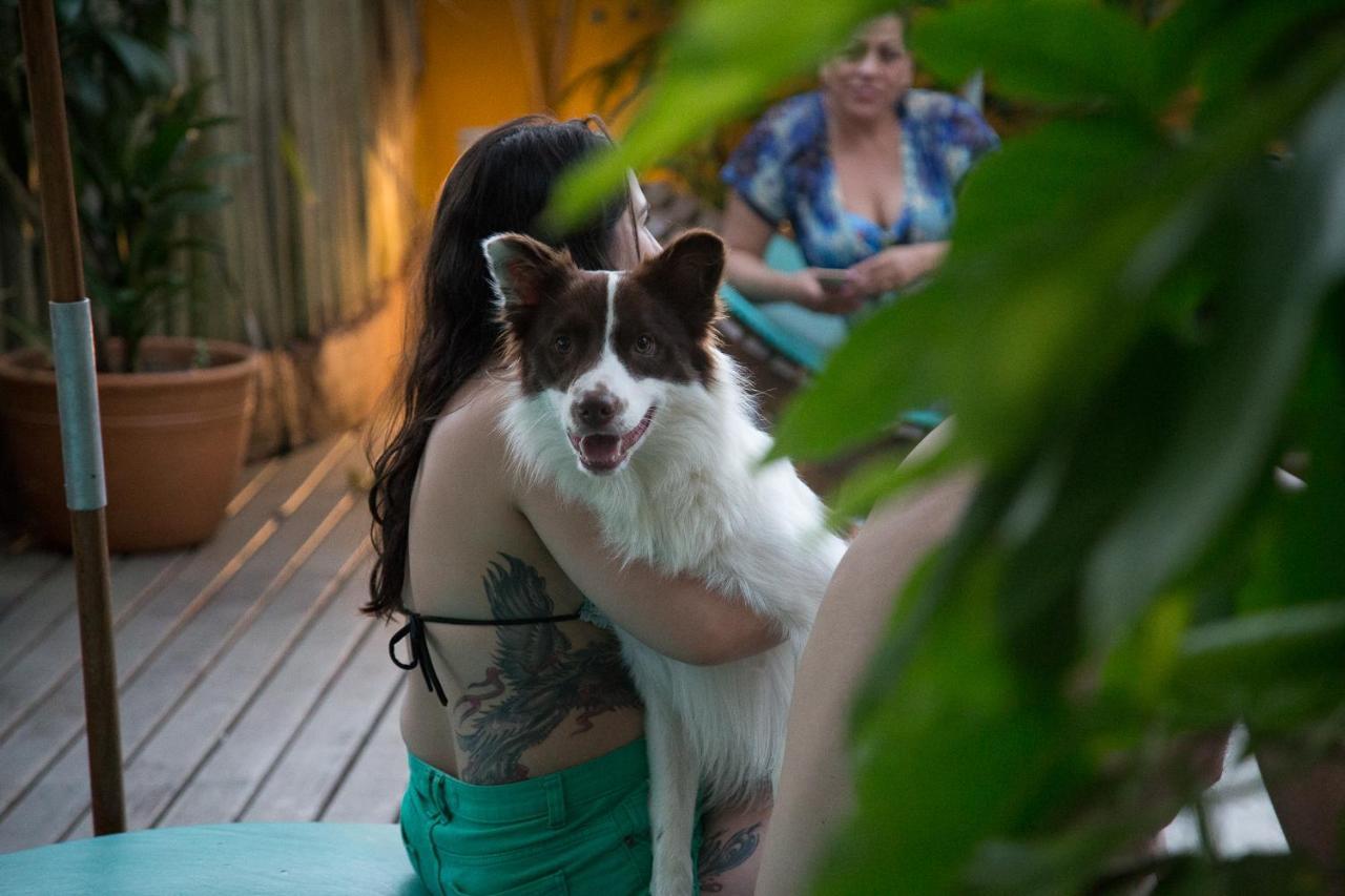 Pousada Spa Ventos Do Camburi エクステリア 写真